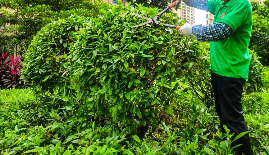工地中庭园林景观设计