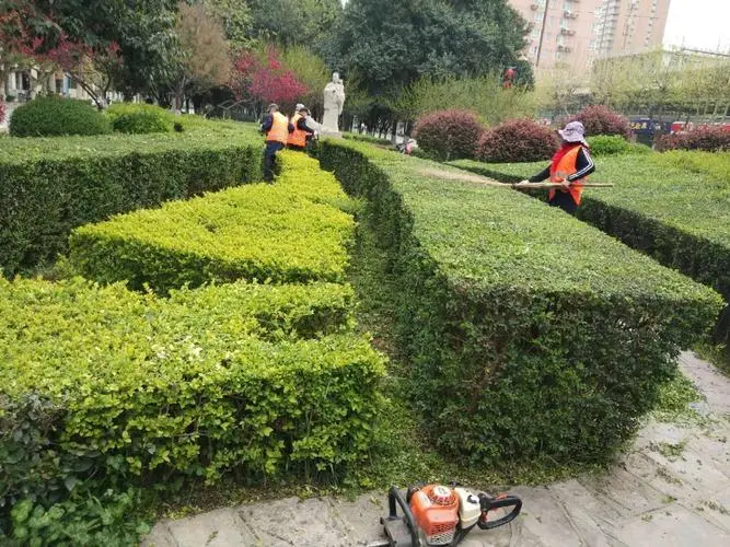 广西绿化工程团队介绍