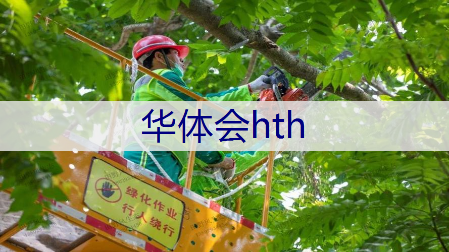 路边绿化工程能种什么花