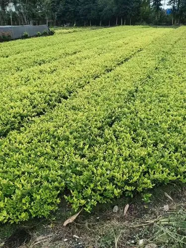 人居环境整治劳务合同3篇.docx